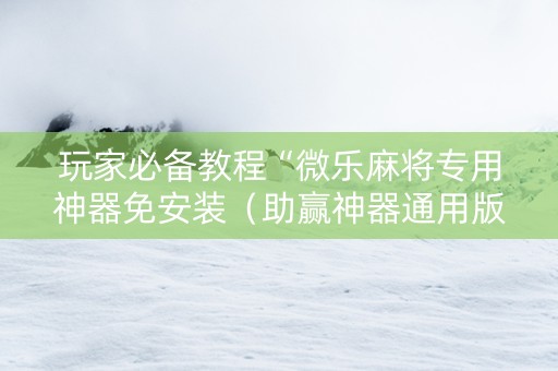 玩家必备教程“微乐麻将专用神器免安装（助赢神器通用版）