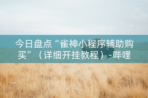 今日盘点“雀神小程序辅助购买”（详细开挂教程）-哔哩哔哩