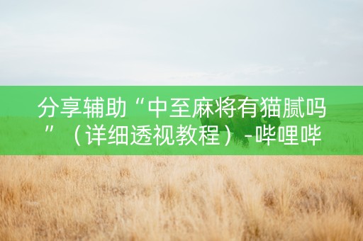 分享辅助“中至麻将有猫腻吗”（详细透视教程）-哔哩哔哩