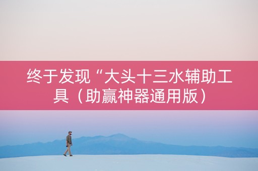 终于发现“大头十三水辅助工具（助赢神器通用版）