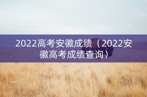 2022高考安徽成绩（2022安徽高考成绩查询）