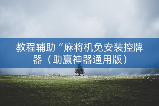教程辅助“麻将机免安装控牌器（助赢神器通用版）