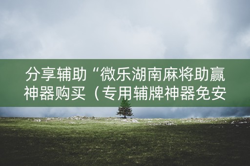 分享辅助“微乐湖南麻将助赢神器购买（专用辅牌神器免安装）