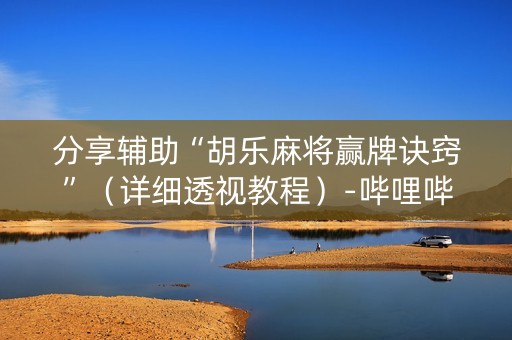 分享辅助“胡乐麻将赢牌诀窍”（详细透视教程）-哔哩哔哩