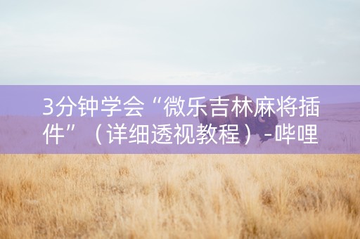 3分钟学会“微乐吉林麻将插件”（详细透视教程）-哔哩哔哩