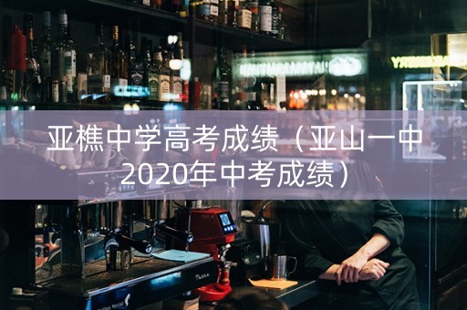 亚樵中学高考成绩（亚山一中2020年中考成绩）