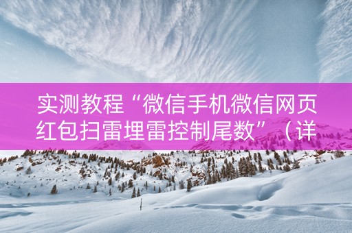 实测教程“微信手机微信网页红包扫雷埋雷控制尾数”（详细透视教程）-哔哩哔哩