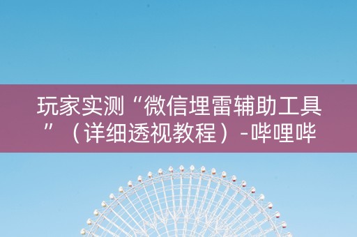 玩家实测“微信埋雷辅助工具”（详细透视教程）-哔哩哔哩