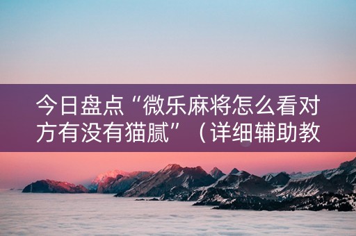 今日盘点“微乐麻将怎么看对方有没有猫腻”（详细辅助教程）-哔哩哔哩