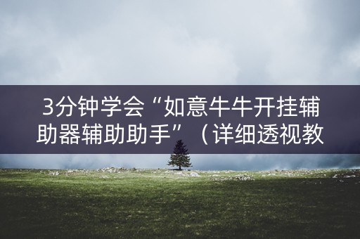 3分钟学会“如意牛牛开挂辅助器辅助助手”（详细透视教程）-哔哩哔哩