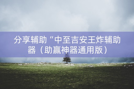 分享辅助“中至吉安王炸辅助器（助赢神器通用版）