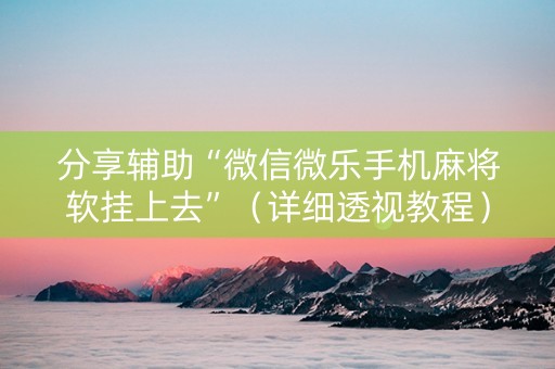 分享辅助“微信微乐手机麻将软挂上去”（详细透视教程）-哔哩哔哩
