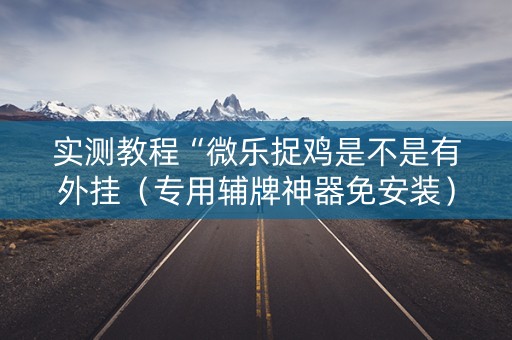 实测教程“微乐捉鸡是不是有外挂（专用辅牌神器免安装）
