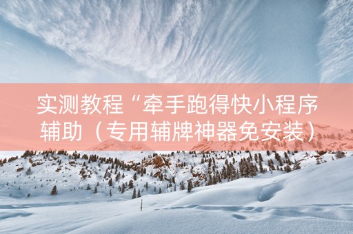 实测教程“牵手跑得快小程序辅助（专用辅牌神器免安装）