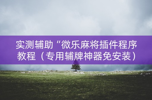 实测辅助“微乐麻将插件程序教程（专用辅牌神器免安装）