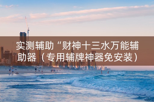 实测辅助“财神十三水万能辅助器（专用辅牌神器免安装）