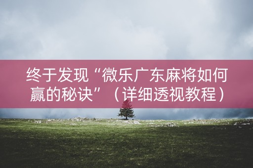 终于发现“微乐广东麻将如何赢的秘诀”（详细透视教程）-哔哩哔哩