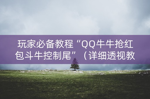 玩家必备教程“QQ牛牛抢红包斗牛控制尾”（详细透视教程）-哔哩哔哩