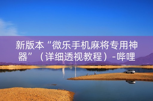新版本“微乐手机麻将专用神器”（详细透视教程）-哔哩哔哩