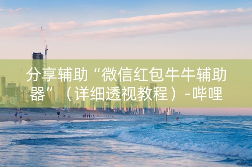 分享辅助“微信红包牛牛辅助器”（详细透视教程）-哔哩哔哩