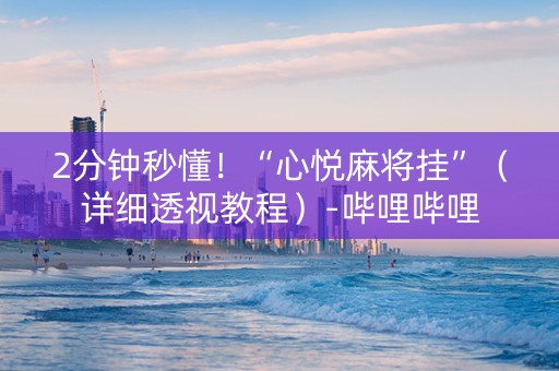 2分钟秒懂！“心悦麻将挂”（详细透视教程）-哔哩哔哩