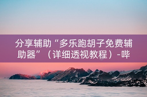 分享辅助“多乐跑胡子免费辅助器”（详细透视教程）-哔哩哔哩