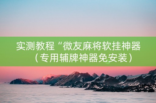 实测教程“微友麻将软挂神器（专用辅牌神器免安装）