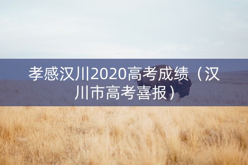 孝感汉川2020高考成绩（汉川市高考喜报）
