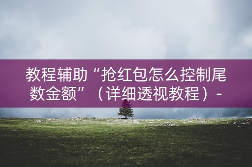 教程辅助“抢红包怎么控制尾数金额”（详细透视教程）-哔哩哔哩