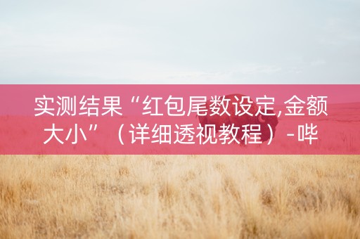 实测结果“红包尾数设定,金额大小”（详细透视教程）-哔哩哔哩