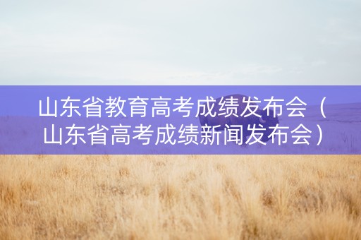 山东省教育高考成绩发布会（山东省高考成绩新闻发布会）