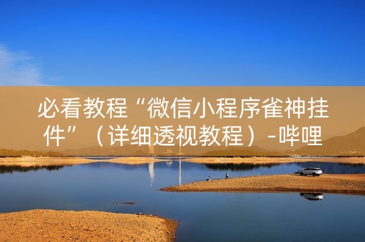 必看教程“微信小程序雀神挂件”（详细透视教程）-哔哩哔哩