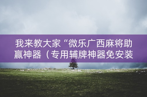 我来教大家“微乐广西麻将助赢神器（专用辅牌神器免安装）
