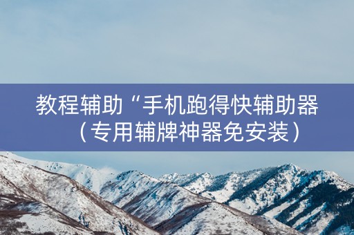教程辅助“手机跑得快辅助器（专用辅牌神器免安装）