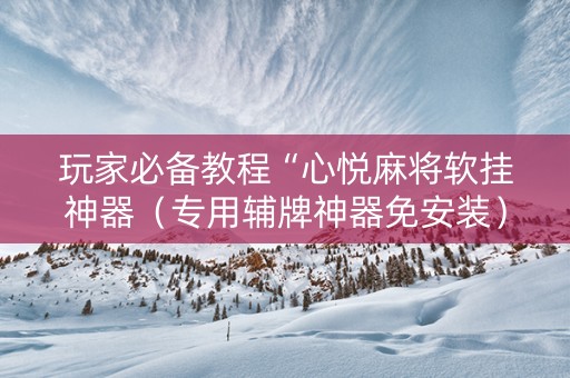玩家必备教程“心悦麻将软挂神器（专用辅牌神器免安装）