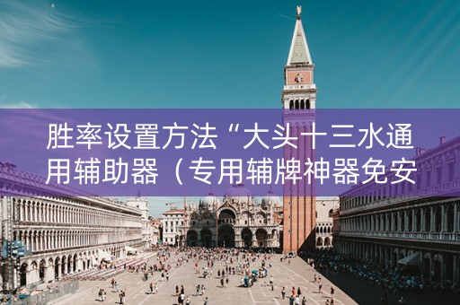 胜率设置方法“大头十三水通用辅助器（专用辅牌神器免安装）