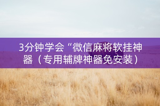 3分钟学会“微信麻将软挂神器（专用辅牌神器免安装）