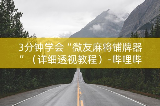 3分钟学会“微友麻将铺牌器”（详细透视教程）-哔哩哔哩
