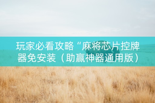玩家必看攻略“麻将芯片控牌器免安装（助赢神器通用版）