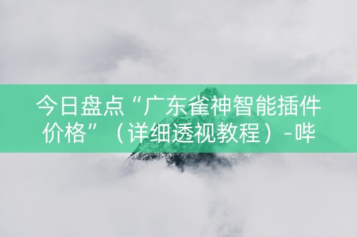 今日盘点“广东雀神智能插件价格”（详细透视教程）-哔哩哔哩