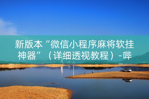 新版本“微信小程序麻将软挂神器”（详细透视教程）-哔哩哔哩