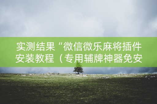 实测结果“微信微乐麻将插件安装教程（专用辅牌神器免安装）