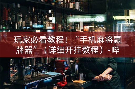 玩家必看教程！“手机麻将赢牌器”（详细开挂教程）-哔哩哔哩