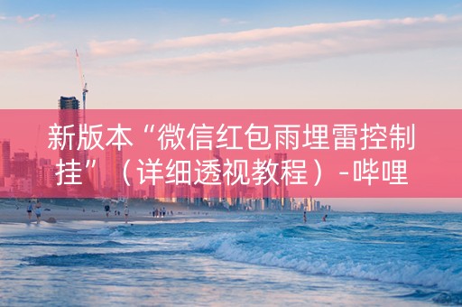 新版本“微信红包雨埋雷控制挂”（详细透视教程）-哔哩哔哩