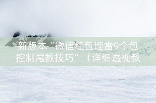 新版本“微信红包埋雷9个包控制尾数技巧”（详细透视教程）-哔哩哔哩