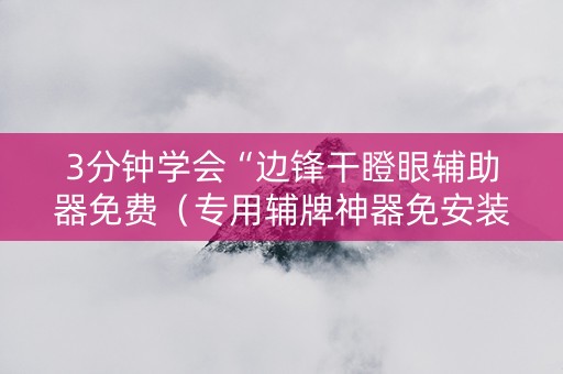 3分钟学会“边锋干瞪眼辅助器免费（专用辅牌神器免安装）