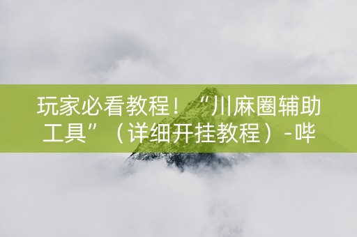 玩家必看教程！“川麻圈辅助工具”（详细开挂教程）-哔哩哔哩