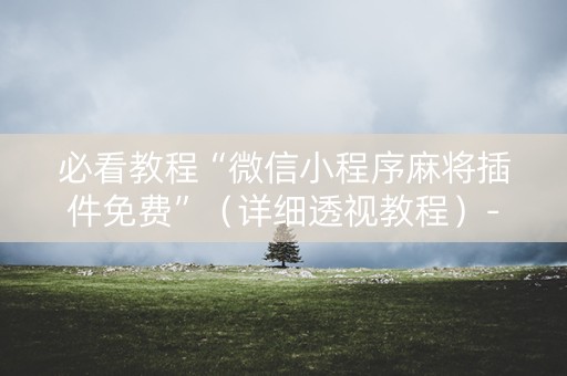 必看教程“微信小程序麻将插件免费”（详细透视教程）-哔哩哔哩