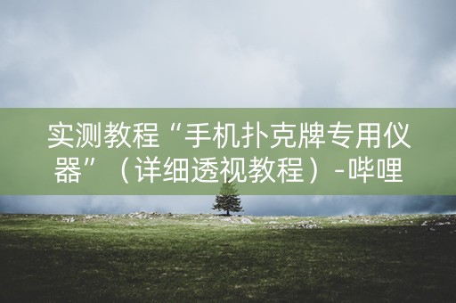 实测教程“手机扑克牌专用仪器”（详细透视教程）-哔哩哔哩
