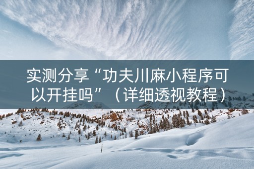 实测分享“功夫川麻小程序可以开挂吗”（详细透视教程）-哔哩哔哩